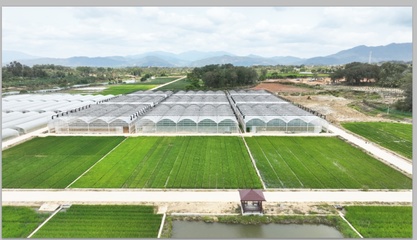 跨越千里，上海農科青年在“種業硅谷”播種未來