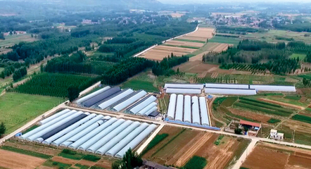 山東宇泰生物種業(yè) 聚焦種業(yè)創(chuàng)新，助力農(nóng)業(yè)強(qiáng)國(guó)建設(shè)