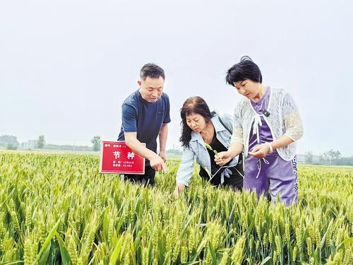 國(guó)家級(jí)展會(huì)賦能，洞見中國(guó)種業(yè)發(fā)展的新機(jī)遇